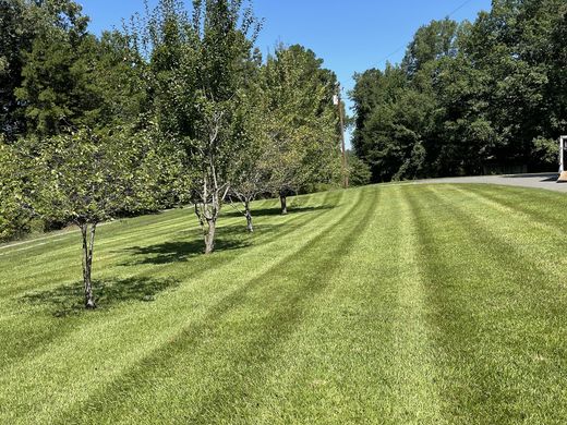 Tree-lined maintained lawn