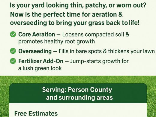 Lawn revival service offer